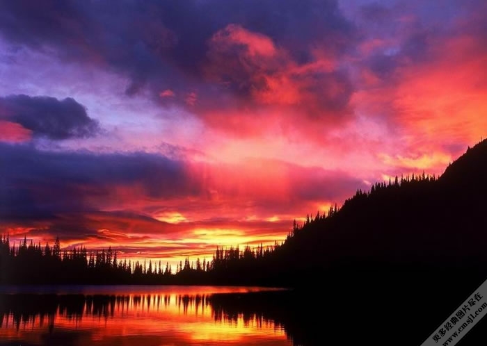 ��һ�������