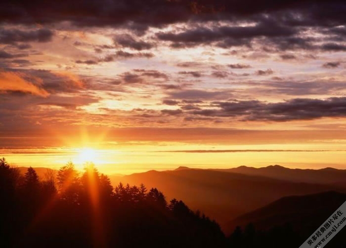 ��һ�������