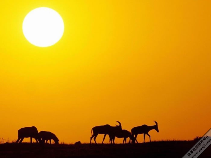 ��һ�������