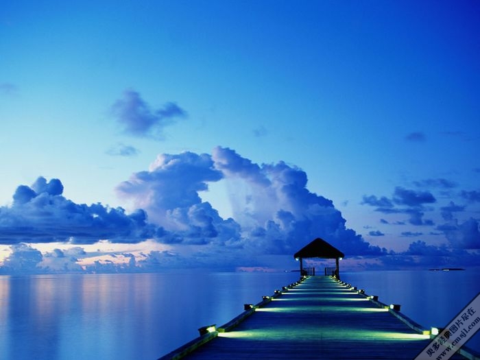 ���ҵ���vista��ֽ