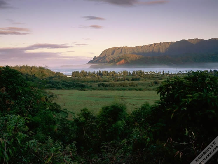 ��Ư���ı�ֽ