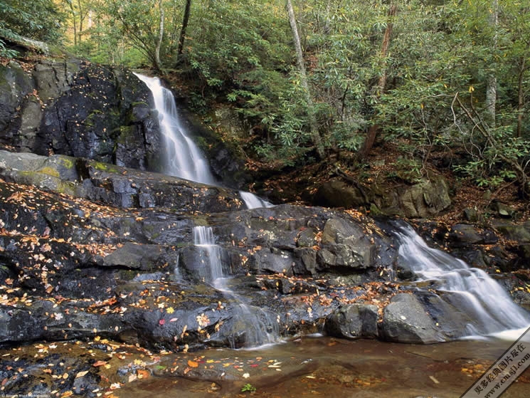 ��Ư���ı�ֽ