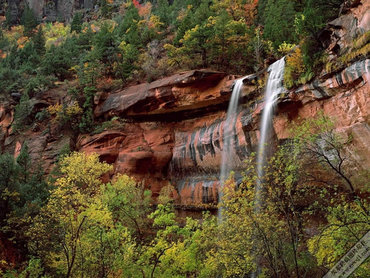 ��Ư���ı�ֽ