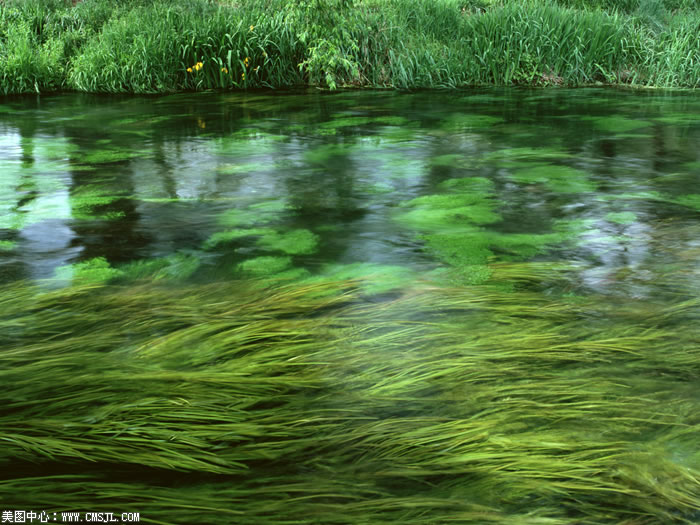 ��������Ұ