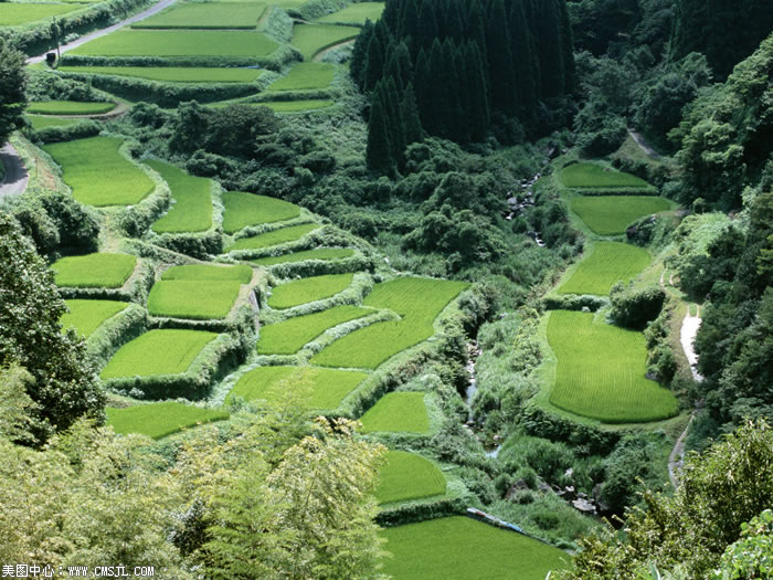 ��������Ұ