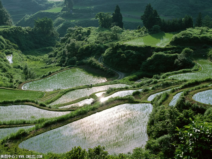 ��������Ұ