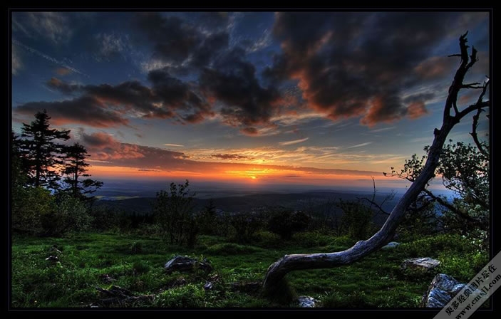 �����ľ�ɫ