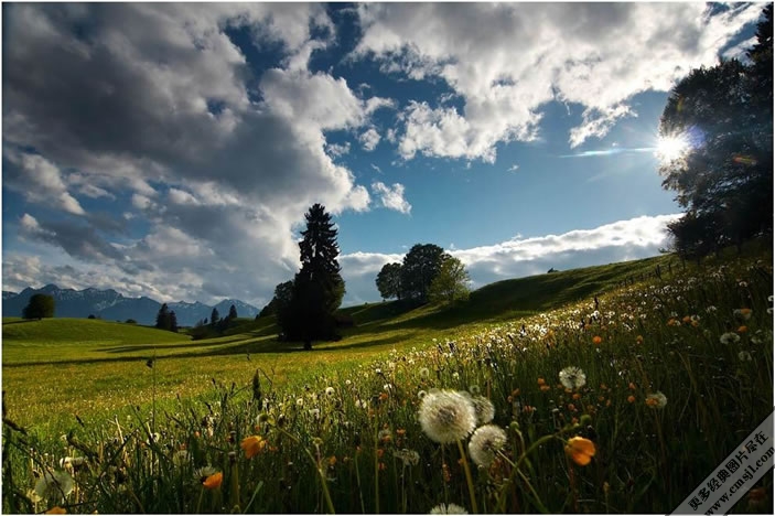 �����ľ�ɫ