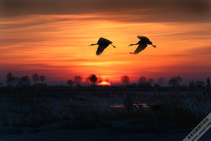 �����ľ�ɫ