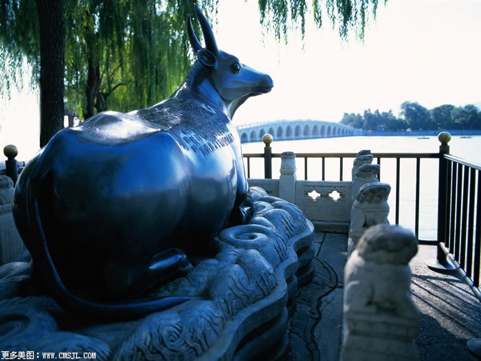 �������ξ���