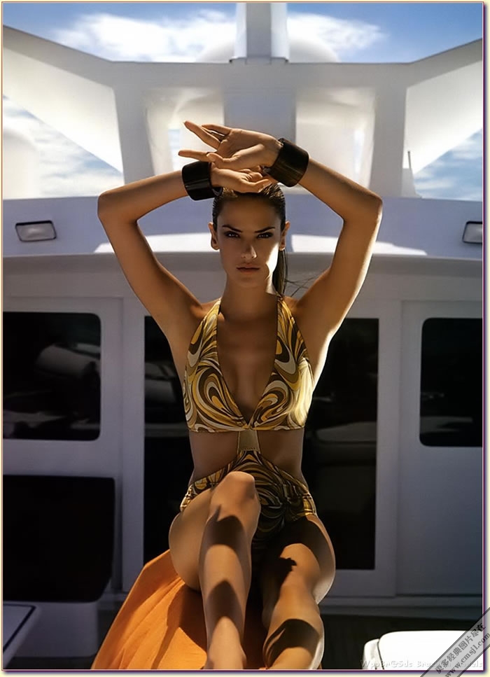 ������ģ