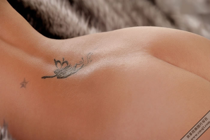 ŷ����������