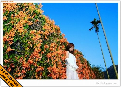 �뻨���޵�����Ư����Ů