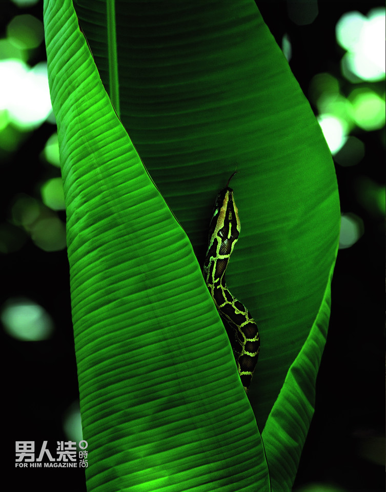 ��Ʒ��ģ������װ����־�����Ըм�Ӱ 