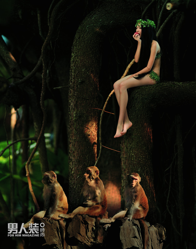 ��Ʒ��ģ������װ����־�����Ըм�Ӱ 