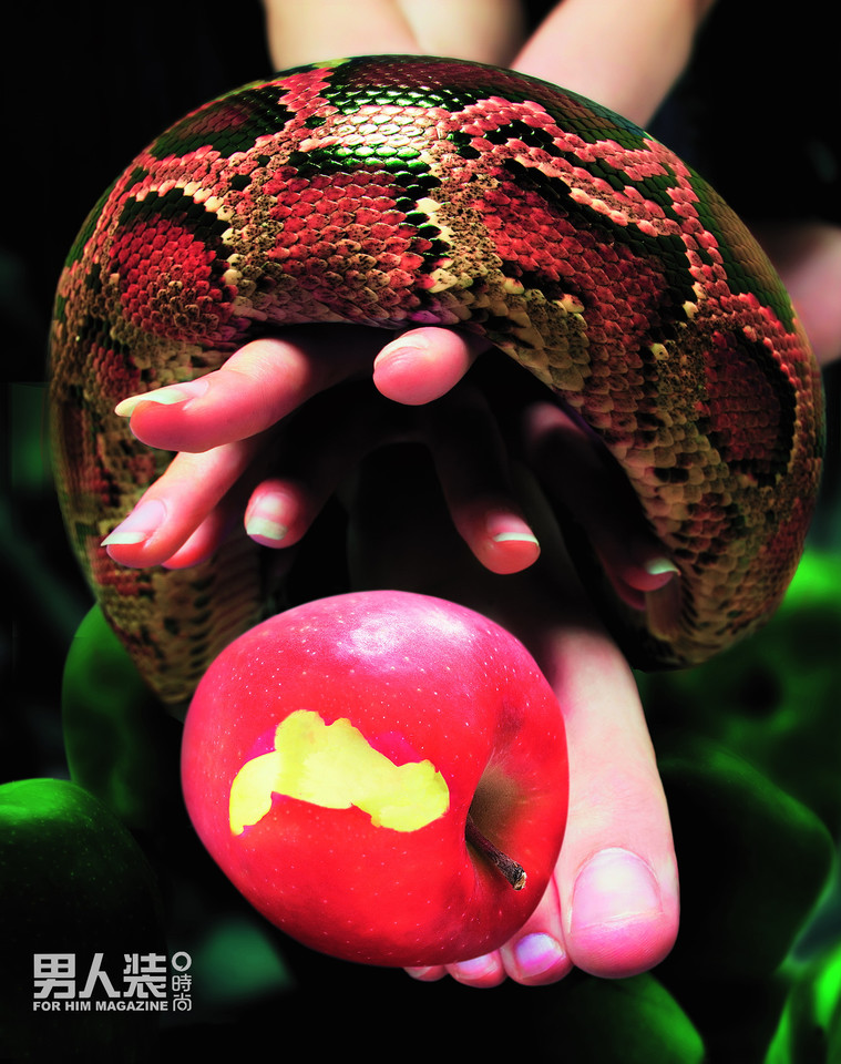 ��Ʒ��ģ������װ����־�����Ըм�Ӱ 